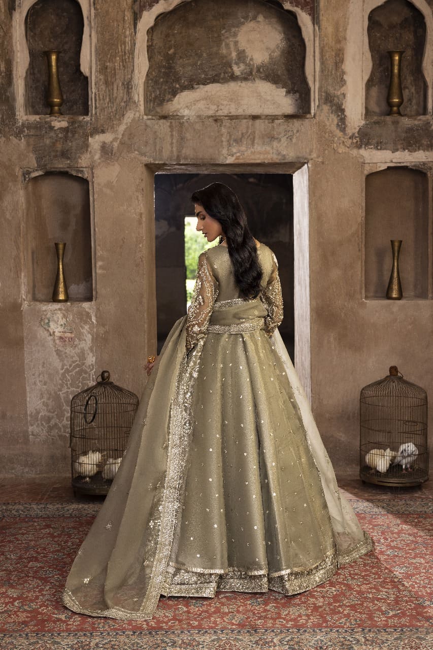 Olive Opulence PG 0044